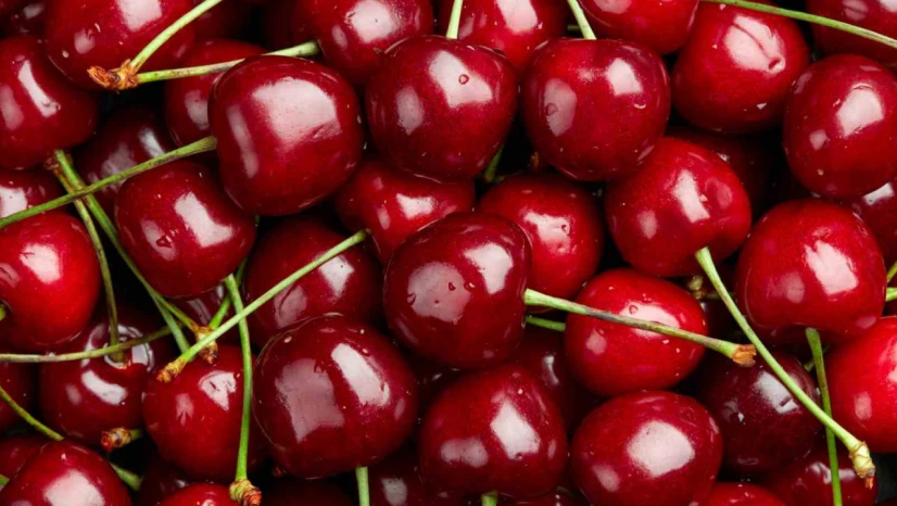 Zirai don kirazı vurdu, geçen yıla göre 61 bin ton ihracat kaybı yaşandı