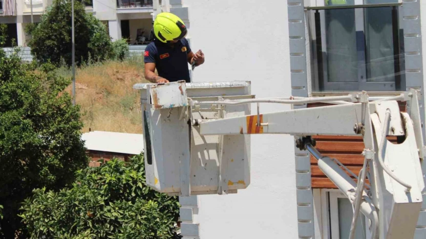 Aydın'da balkonda sıkışan kumruyu vatandaşın dikkati kurtardı