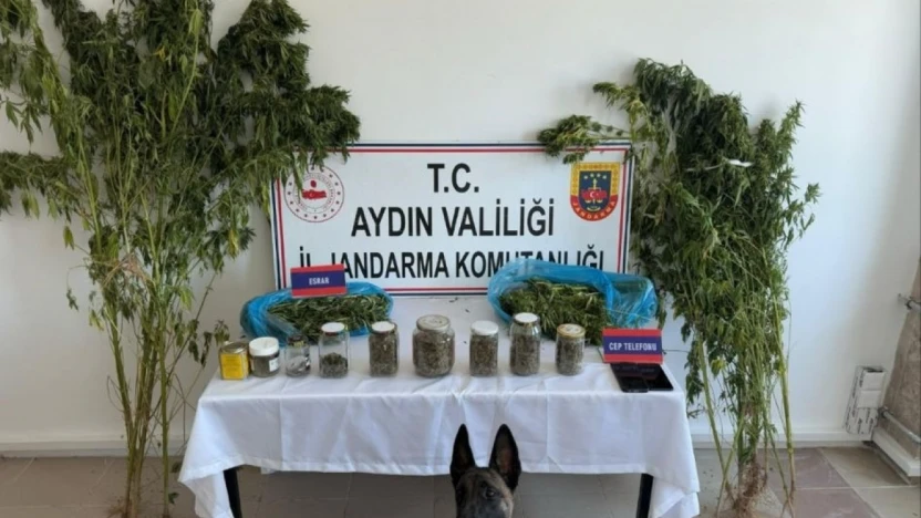 Aydın'da jandarmadan uyuşturucu operasyonu: 12 şüpheli yakalandı