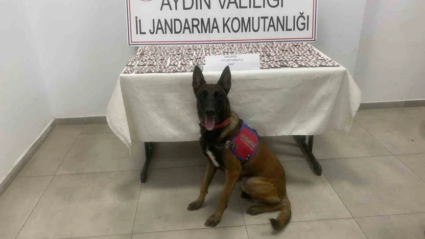 Aydın'da jandarmadan uyuşturucu operasyonu: 3 gözaltı