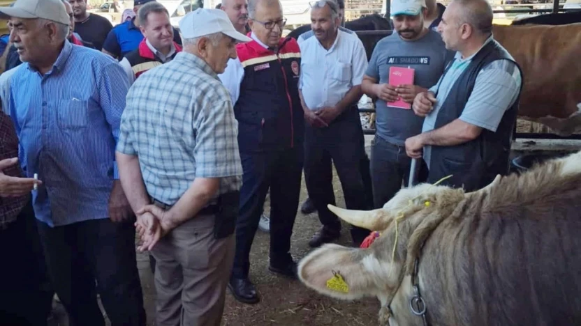 Aydın'da kurban satış yerleri denetleniyor