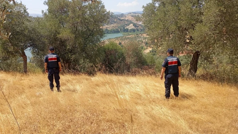 Aydın'da ormanlar jandarma gözetiminde