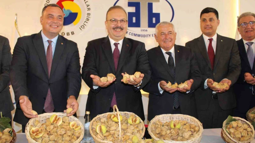 Aydın'da sezonun ilk kuru inciri 800 liradan satıldı
