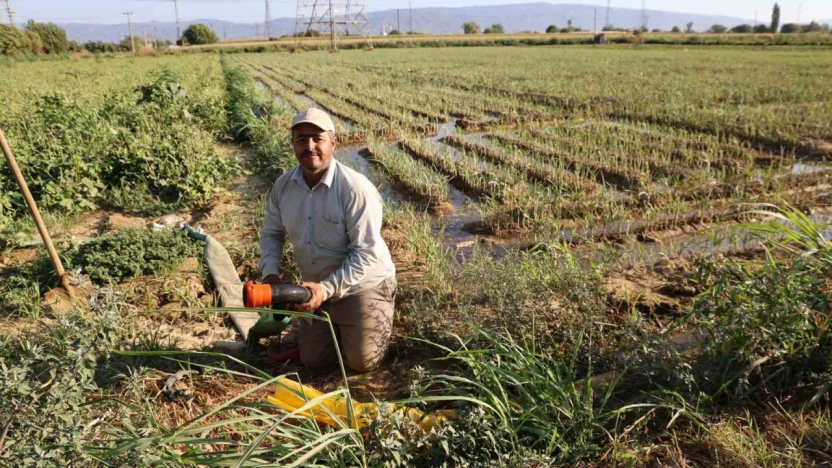 Aydın'da su kıtlığı çiftçilerin mesai saatlerini değiştirdi