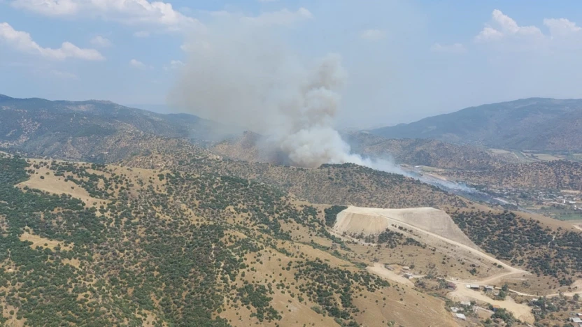 Aydın'da zirai alandaki yangın büyüyor