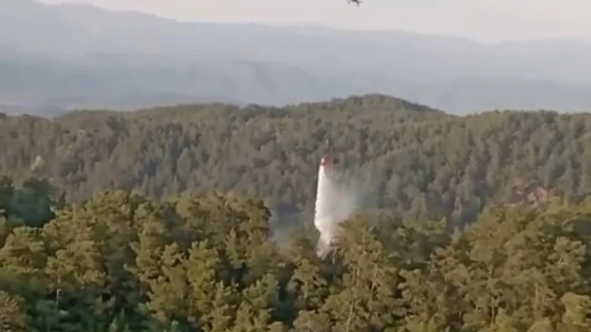 Aydın ve Muğla'daki orman yangınlarına hızlı müdahale
