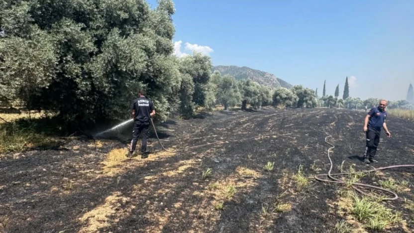 Başkan Kaya'dan yangın uyarısı: 'Açık alanlarda ateş yakmayın'