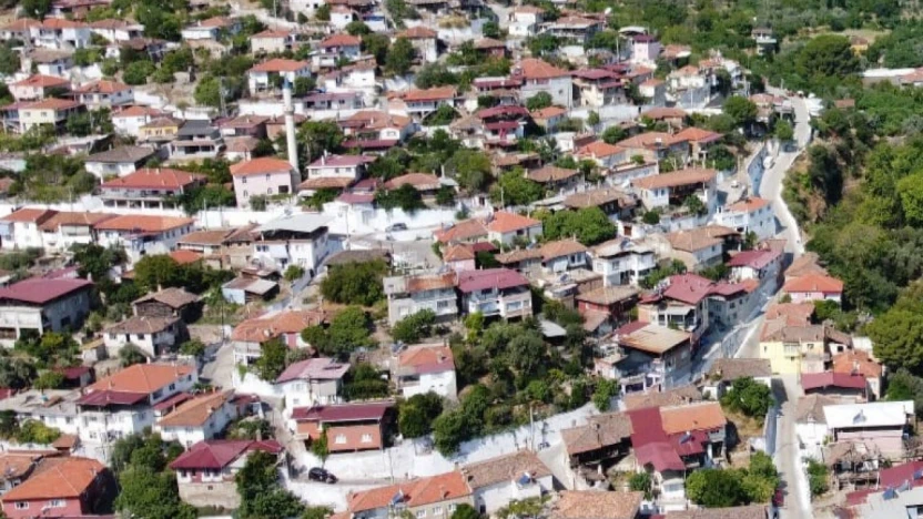 Bozdoğan beyaza boyandı
