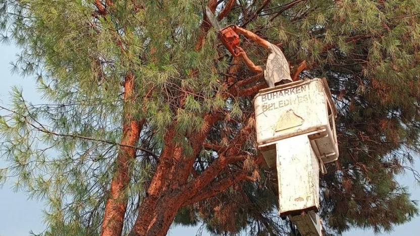 Buharkent Belediyesi'nden anında müdahale