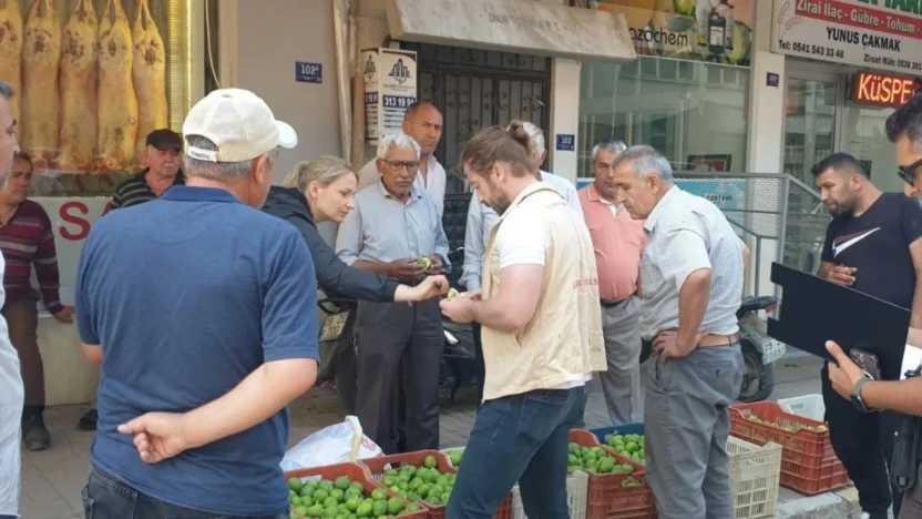 Buharkent'te ilek tezgahları denetlendi