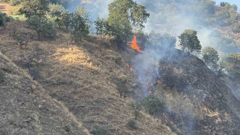 Buharkent'te orman yangını