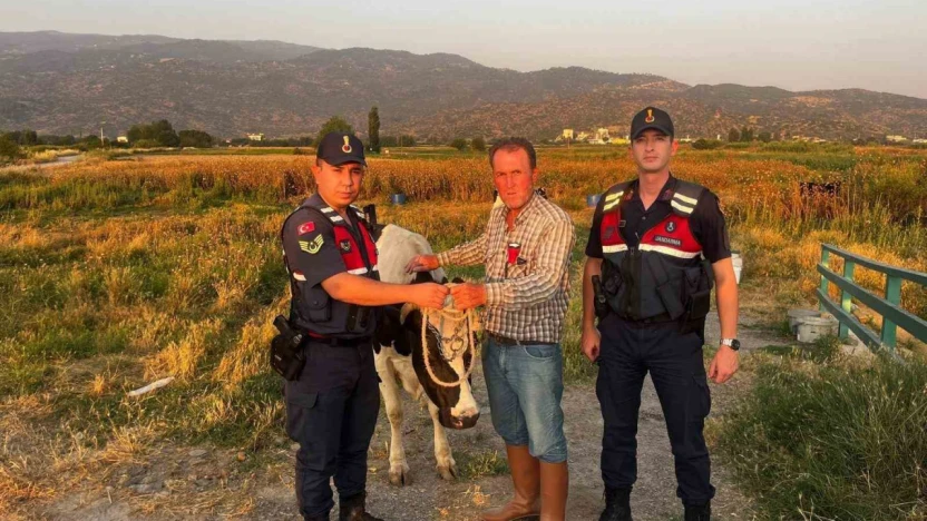 Çalınan hayvanı jandarma bularak sahibine teslim etti