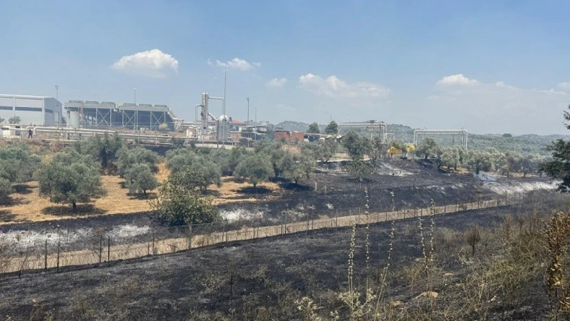 Çift sürülen tarla yangında zarar görmedi