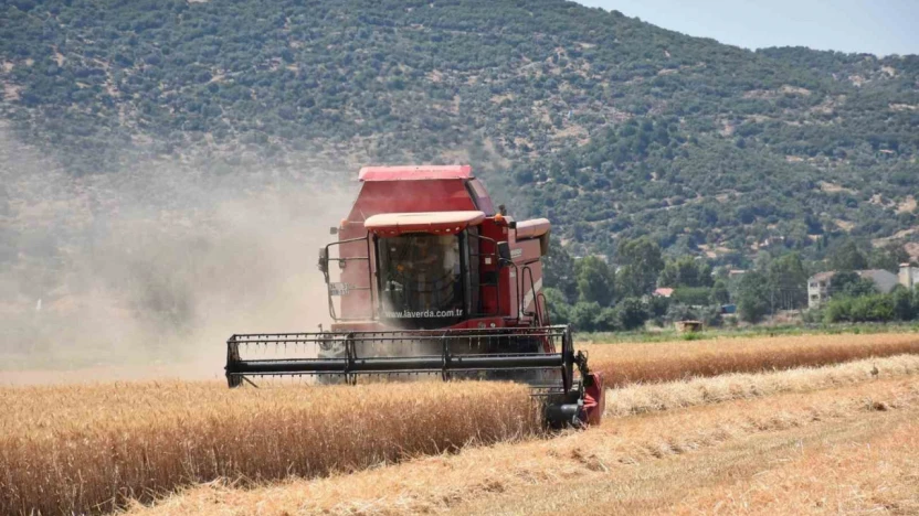 Çiftçilerden hayvan üreticilerine kritik uyarı: 'Elinizi Çabuk Tutun'