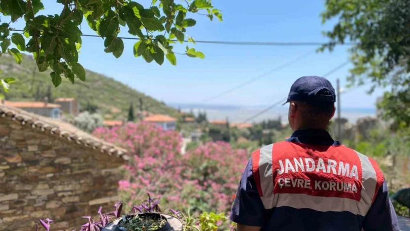 Doğanbey'de orman yangınlarına dikkat çekildi