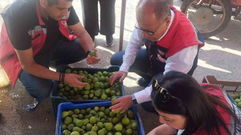 Germencik'te ilek tezgahları denetlendi
