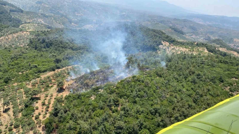 Germencik'te orman yangını