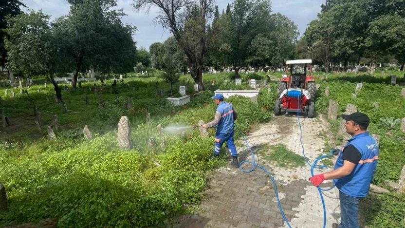 Hamzabali Mezarlığı bakıma alındı