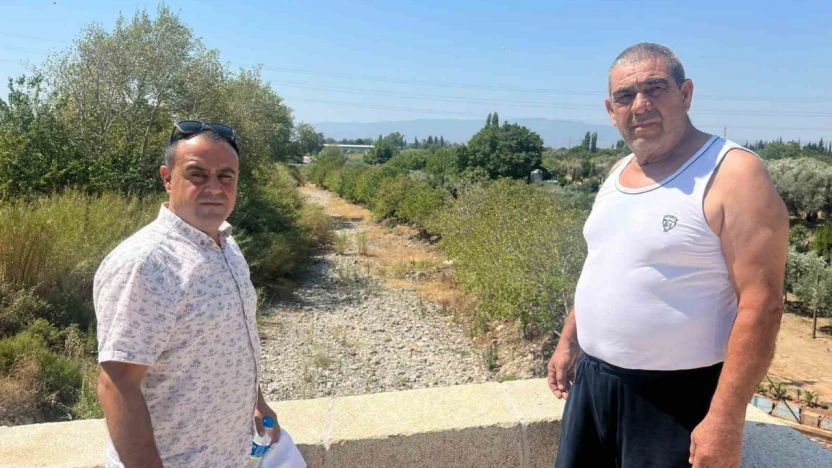İkizdere Barajı'ndan su bırakılmadı, ağaçlar kurudu