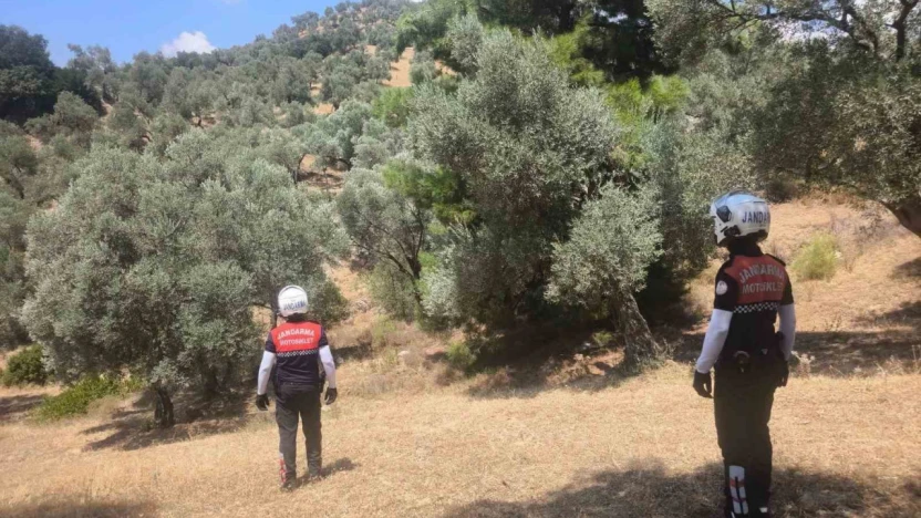 Jandarma Aydın'da yangın nöbetinde