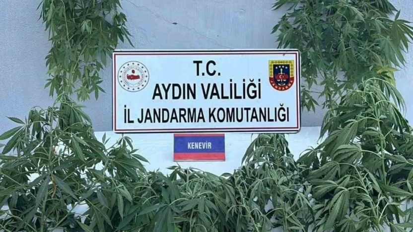 Jandarmada uyuşturucu operasyonu: 16 gözaltı