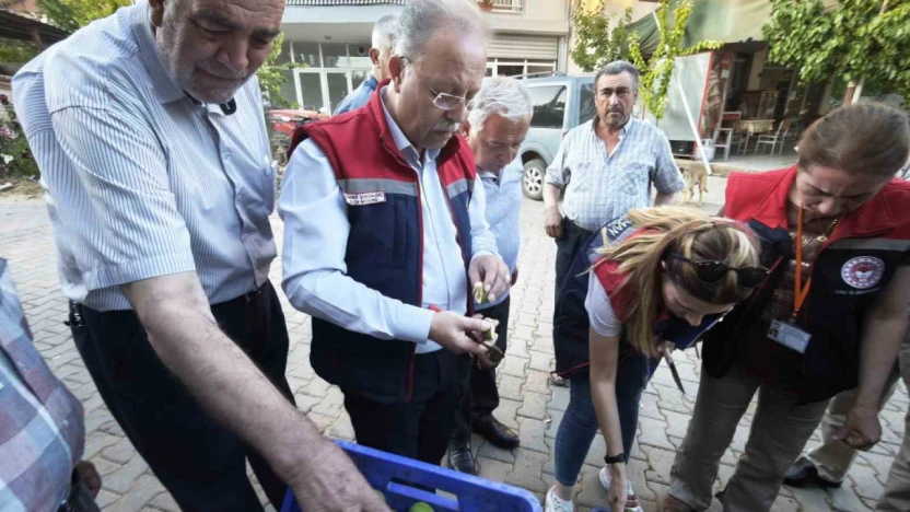 Karacasu'da üreticiye kaliteli ilek uyarısı