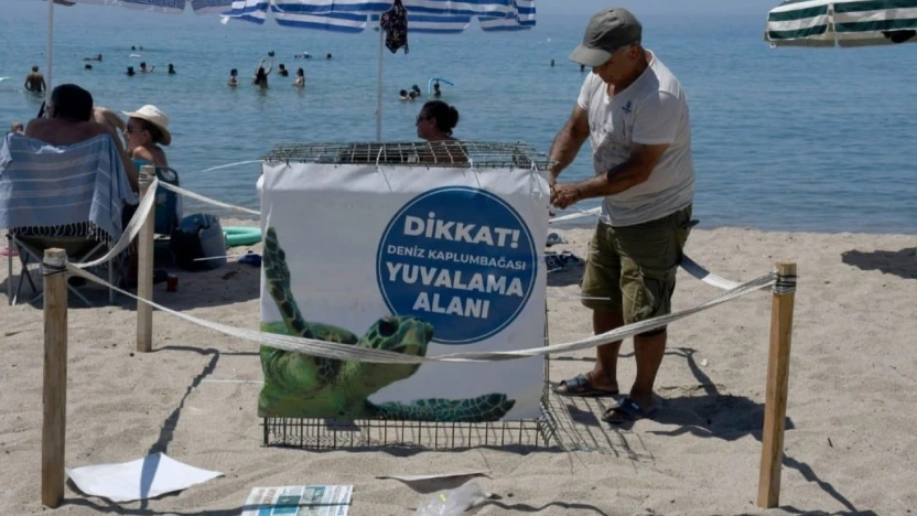 Kuşadası'nda ilk caretta caretta yuvası belirlendi