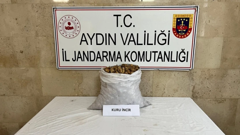 Motosikletli incir hırsızı jandarmadan kaçamadı