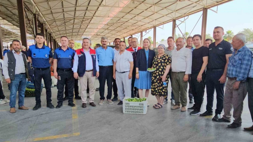 Nazilli'de kaliteli incir için kaliteli ilek denetimleri sürüyor