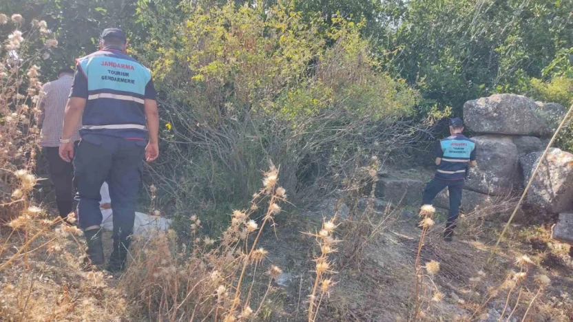 Sit alanında ilek toplarken yakalandılar