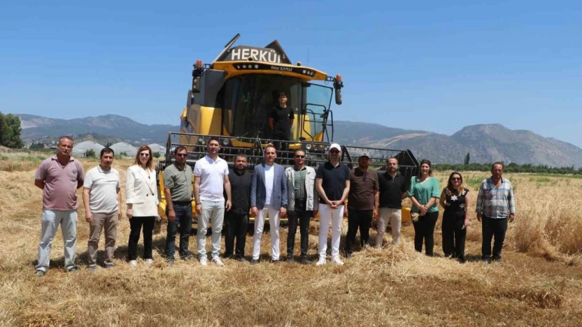 Söke Belediyesi'nde yeni sezonun buğday hasadı