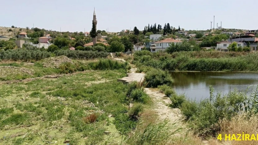 Tarihi köprüde sular yeşillendi, doğaseverler sorunlara dikkat çekti