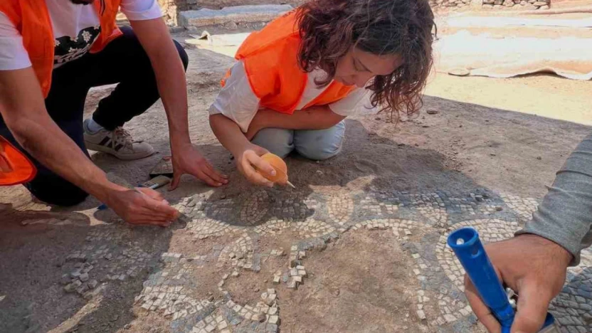Tralleis'te çalışmalar mozaik havuzunda yoğunlaştırıldı